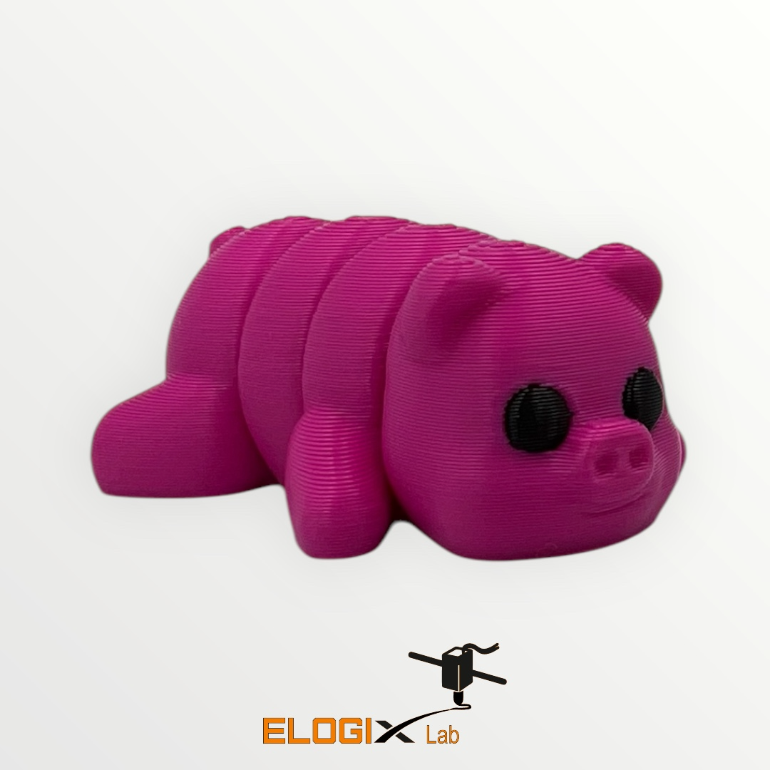 Little Flexi Piggy